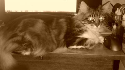 Прикрепленное изображение: 2012-12-27 23.44.35.jpg